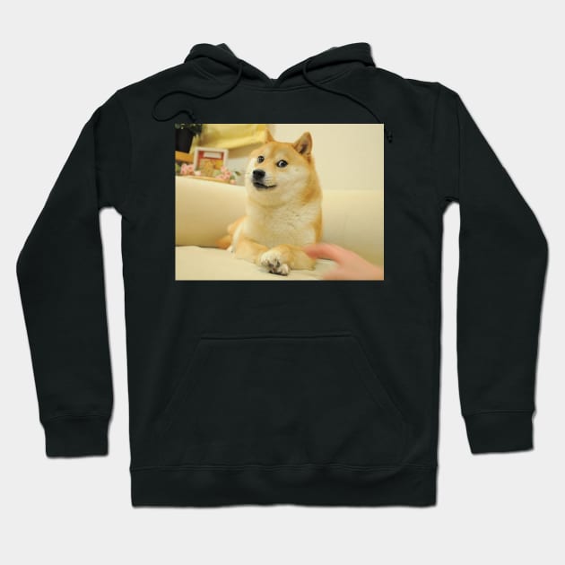 Doge Hoodie by FlashmanBiscuit